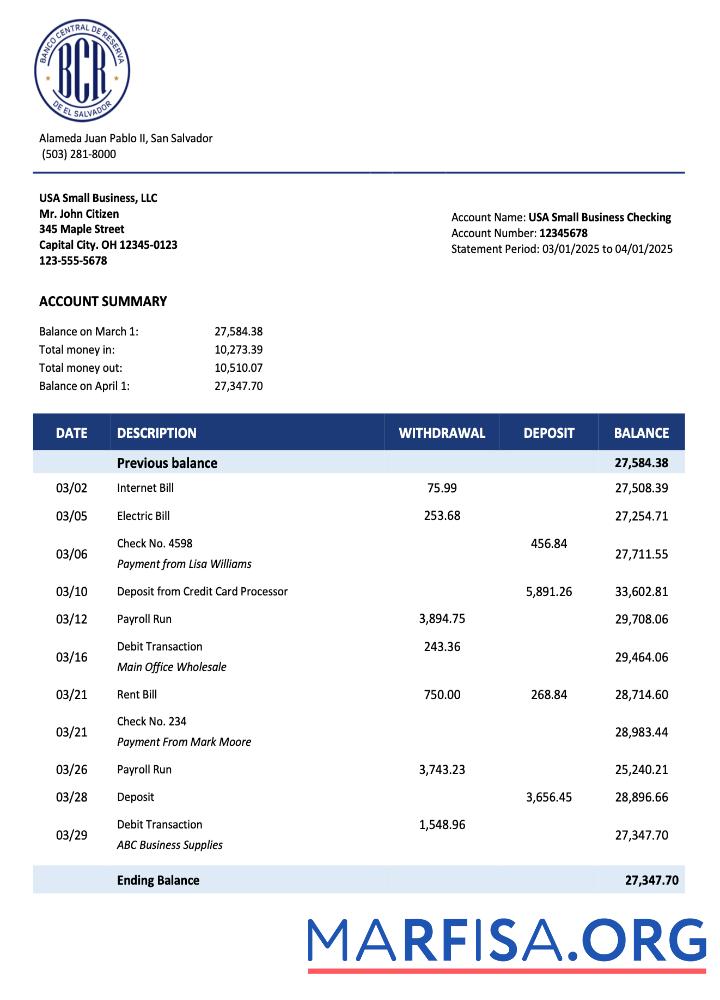 Realistic Salvadoran Banco Central de Reserva de Salvadoran firm account statement Word and PDF template
